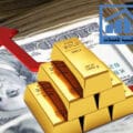 أسعار الذهب ترتفع لاول مرة